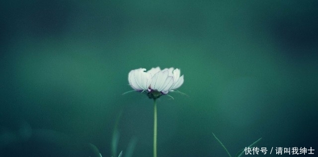 生肖|9月20日开始，苦尽甘来，横财大奖连连发，多财多福的三大生肖