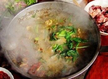 粪便|这些动物的粪便不仅能吃,还价值不菲,有的甚至比黄金还贵