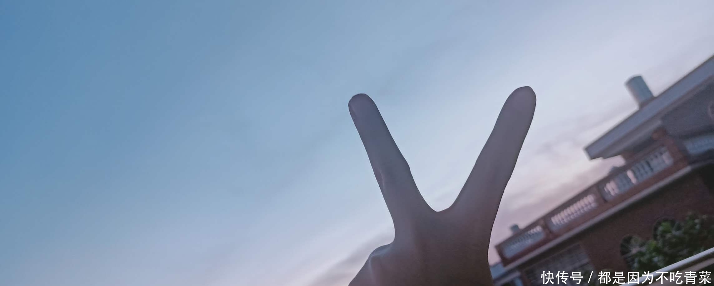 真心话|情感随笔,我的真心话