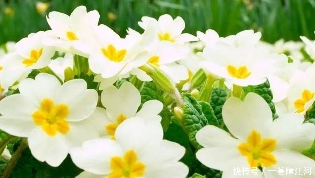  星座|十二星座的“记仇”期限是多久，那些不能得罪的人，你都清楚吗？