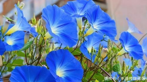 长久|“惹不起的几星座”,不管男女,以后都会家庭幸福婚姻长久