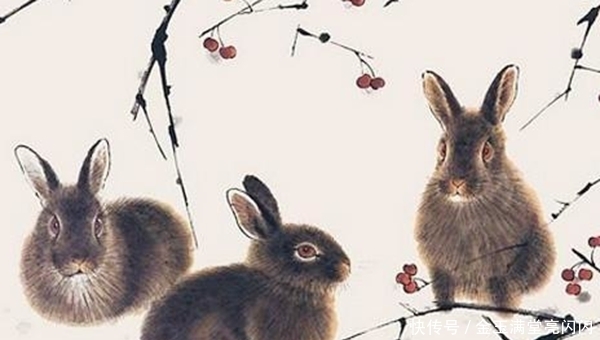 属鸡|12个生肖12种命运，这些属相天生上等命，一生好运“牛气冲天”