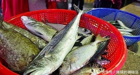 多亏|这4种鱼别再买了,家中有的话也别吃,多亏卖鱼大叔告诫