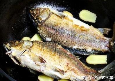 就可以|秋天,这款鲫鱼汤要多喝,暖胃,还很有营养,这样做不腥还很鲜