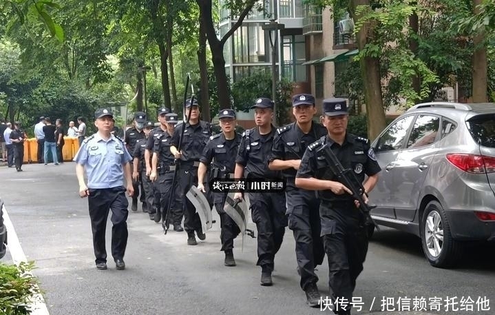 小区|百斤大野猪先后闯进学校和小区 已被警方击毙