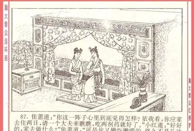  红楼梦|瀚大黎众｜四大名著连环画《红楼梦》之12《叔嫂逢五鬼》带字幕