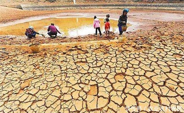 为啥|古代饥荒时,难民吃土吃草皮,为啥没听说吃鱼虾其实古人也不傻