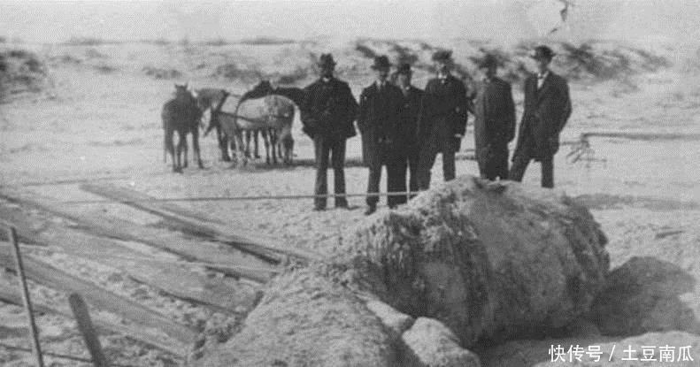  动物|5种未知的隐匿动物，第3种已发现不止三百次