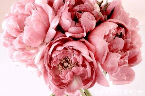  霸道|射手座最喜欢蛮横去爱的5个星座，霸道爱，也不错