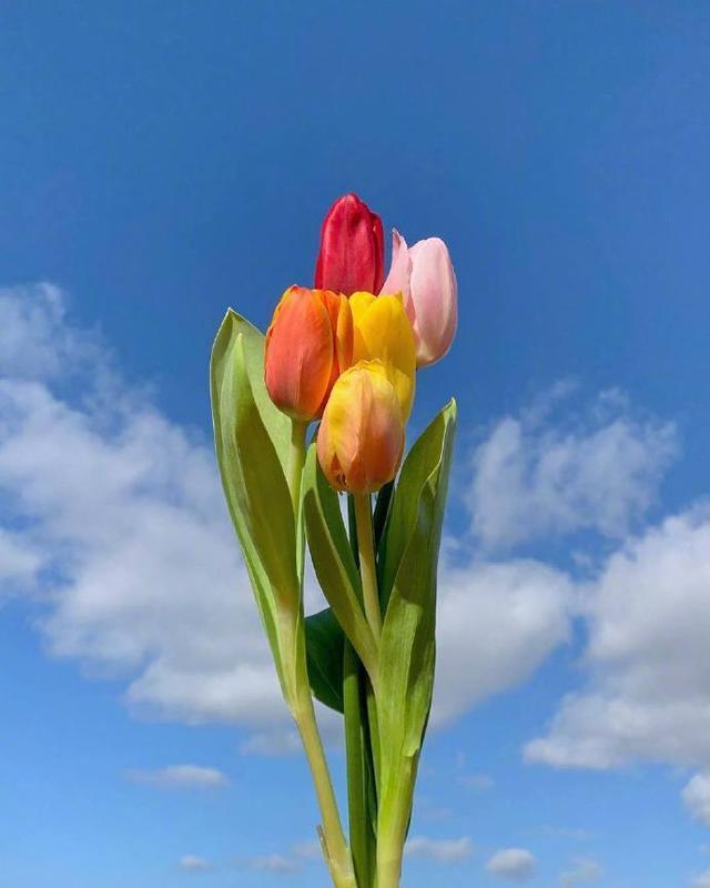 迷人|朋友圈超迷人的早安句子,干净治愈,沁人心脾!