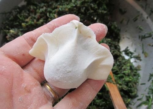 润肠|夏天吃饺子,韭菜靠边站,这菜做馅鲜嫩多汁营养好,还能润肠通便