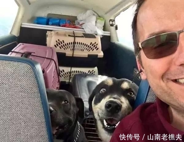  贷款|工程师贷款买飞机，2年来救助上千只毛孩，帮助它们逃离安乐死