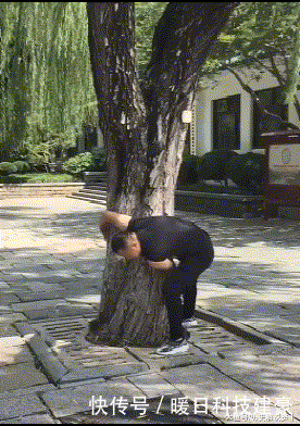  美人鱼|GIF搞笑趣图: 海边拍照要注意, 一不小心让你变成美人鱼