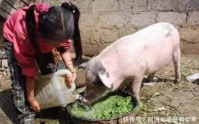  老人|80年代老照片：图2已经被时代淘汰，图5公园里练功的老人