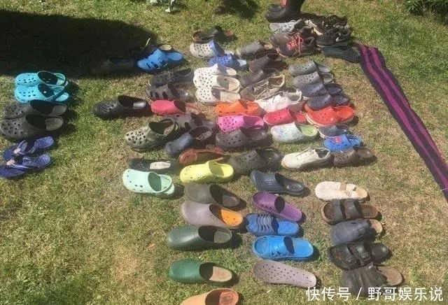 连偷|离奇！一只狐狸连偷100多只鞋子，专家：可能为了舔鞋上的…