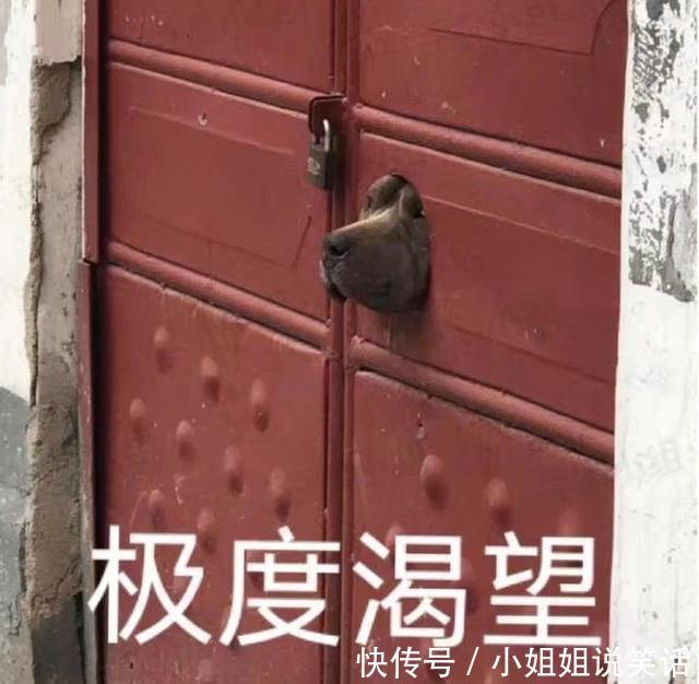 男友|2020搞笑幽默的段子,幽默十足,看一次笑一次!