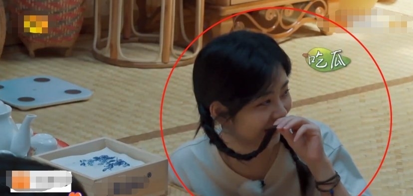 请来|下期《向往》收视稳了,请来观众喜欢的“CP”,说啥都要追了