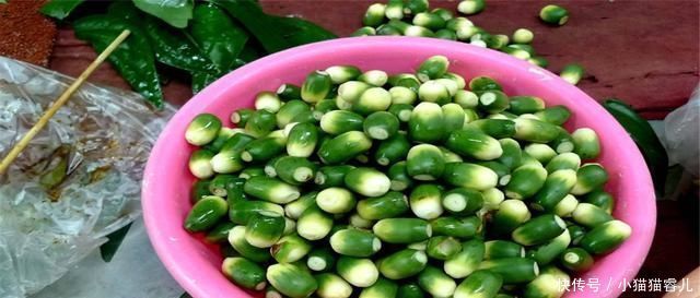 古人|没有口香糖古人都吃什么,看完这4种食物,庆幸自己没生在古代