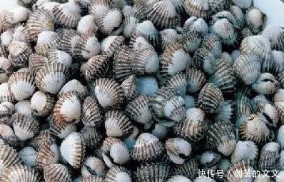 认出|海鲜大全, 你能认出多少