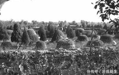 康熙皇帝|从感情层面上解读:为何只有皇十八子胤衸葬在康熙景陵?