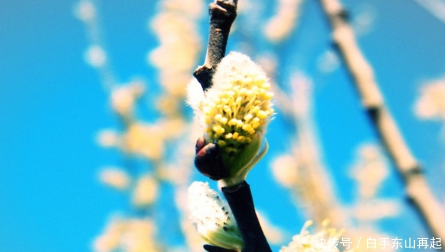 生肖|十月上旬开始,财神进家门,好运多多,喜事成双的生肖