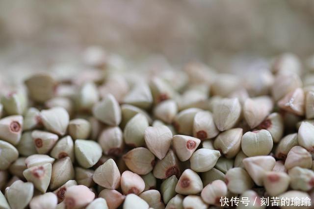 胰岛素|血糖偏高怎么办?5种食物或是“天然胰岛素”,不妨试试