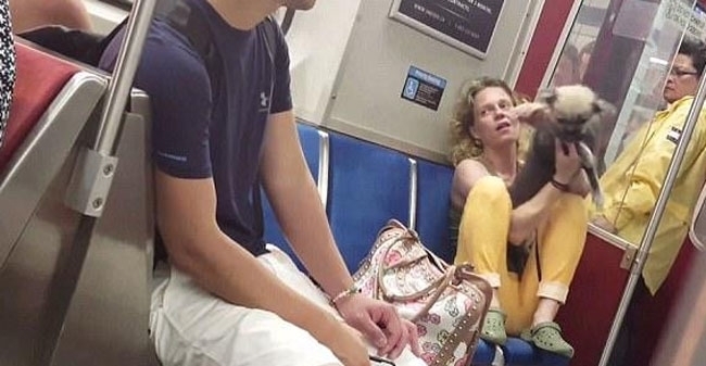  乘客|女子乘地铁带宠物狗，狗狗不停大喊大叫，乘客看到后哽咽无语