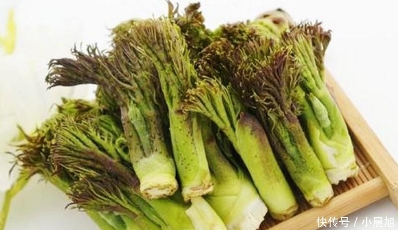 卖到|争议性最大的蔬菜, 外国人当宝, 南方人当害树, 年节一斤卖到40元