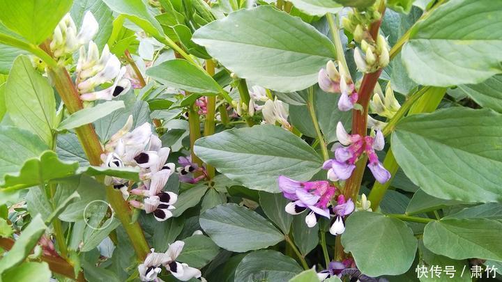 看不起|不要看不起别人做事,却羡慕别人的收获