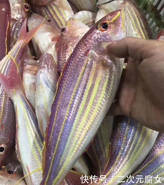 价格|以后去市场买这5种鱼,连鱼铺老板都会夸你是行家