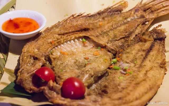 鲫鱼|被误解最深的鱼一斤3元没人买,其实它比鲫鱼营养,比龙利鱼香