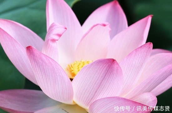 美满|进入9月中旬，4属相运势更上一层楼，财源滚滚，生活富足美满