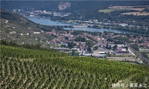 罗纳河谷葡萄园的葡|罗纳河谷葡萄园的“关键词”之旅