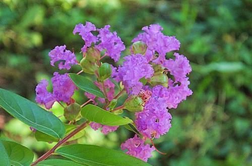 励志|经典走心的励志句子,为了与阳光同行,我笑对忧伤