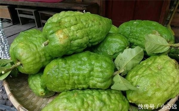 猪血丸子|看了没食欲，一吃就停不下来的4种中国特产，这就是“不可貌相”