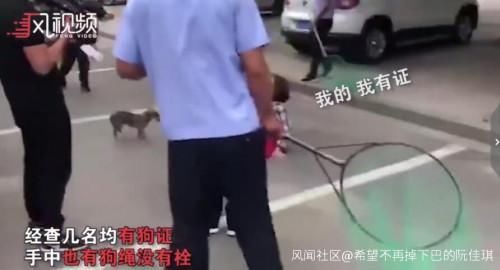 执法人员|女子遛狗不栓绳，狗被抓走后倒地嚎啕大哭我有绳