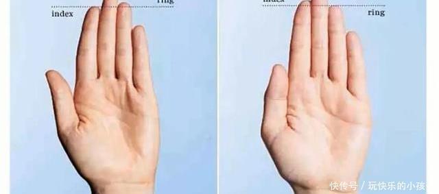 日本|日本综艺,奇奇怪怪