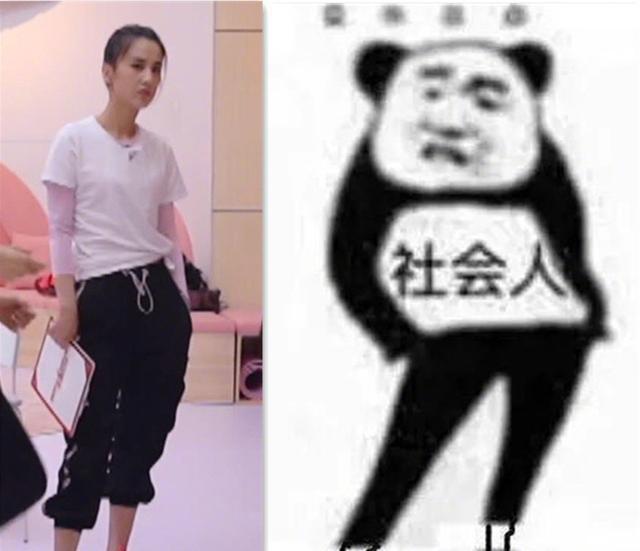 简直|原来《乘风破浪的姐姐》是一档表情包还原节目,简直是神还原