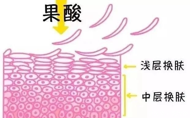  护肤品|基础成分大起底！看完别再说你不会选护肤品啦