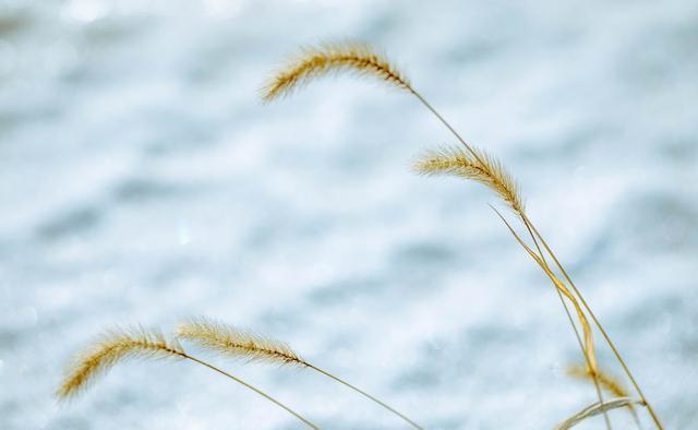  地球表面|风会不会影响电磁波的传播呢？