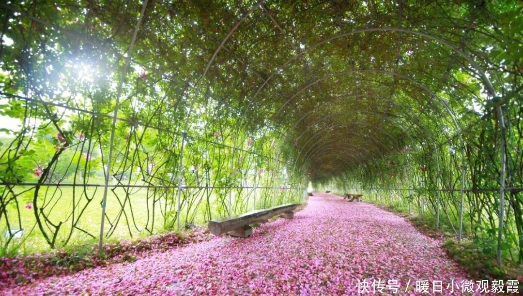 浅谈|浅谈秀丽东方IP对成都公园城市建设的借鉴作用