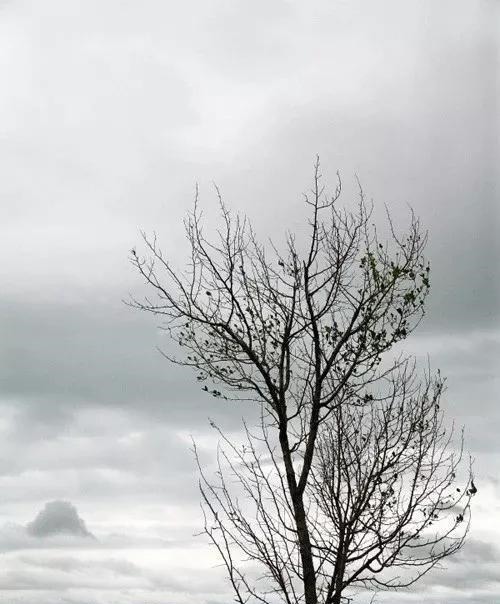 院线|军人军属尊崇，就从这部军嫂院线电影开始