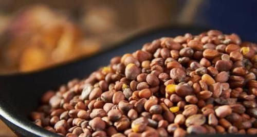 莱菔子|比香蕉蜂蜜更通便,肠道畅通也不便秘了,吃过的人受益了