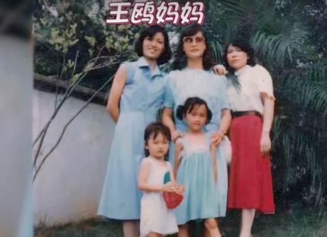 妈妈|王欧妈妈现身综艺,母女俩眉眼复制粘贴,是否整容一目了然