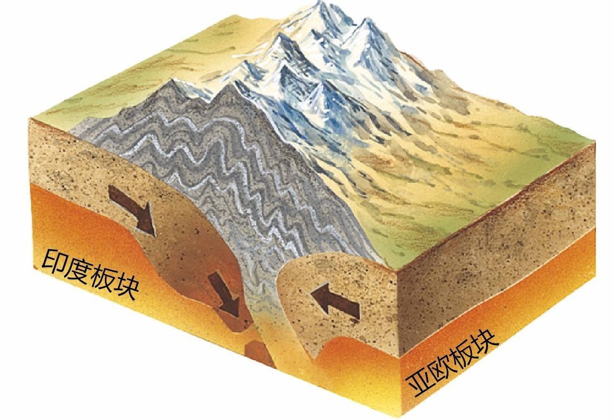 地震|7月已有8次6级以上地震！墨西哥突现约4米长地震鱼，是地震前兆？
