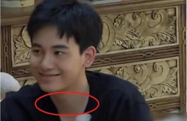 向往的生活|《向往4》的录制到底有多累看清胡先煦脖子上的肤色对比就明白