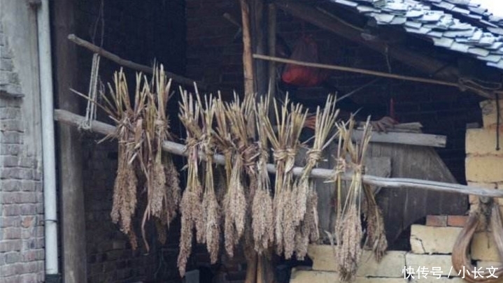 年轻|一农村光棍“捡”年轻女子为妻，同居后生下一儿一女，现今成这样