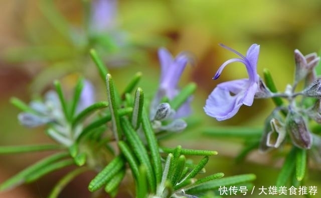 迹象|不管男女生，脸上出现3迹象，说明被螨虫缠上，3招把螨虫一窝端
