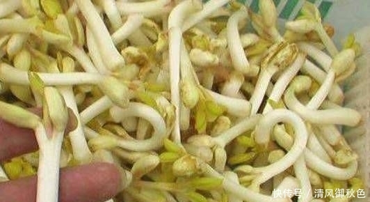  营养|花生能发芽吗？它营养丰富，味道鲜美，但不容易买到。