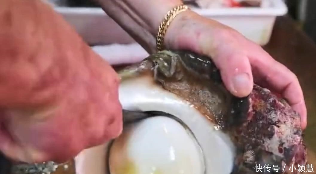 螺肉|米其林厨师用刀“豪取”螺肉,渔民看到后怒了:不懂就别瞎做!